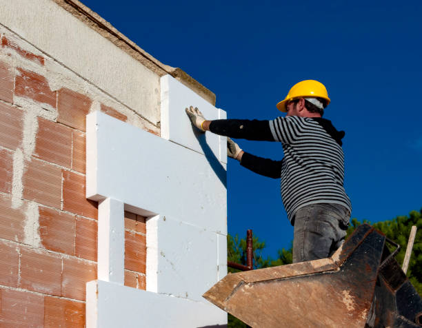 Best Energy-efficient Insulation  in Sarcoxie, MO
