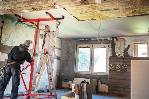 Best Insulation Repair Services  in Sarcoxie, MO