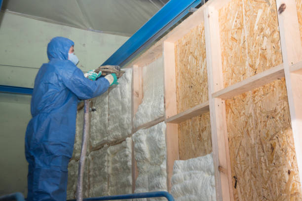 Insulation Inspection Services in Sarcoxie, MO