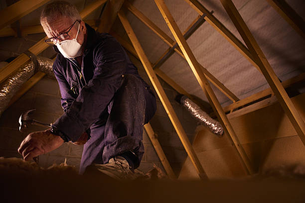 Attic Insulation Near Me in Sarcoxie, MO