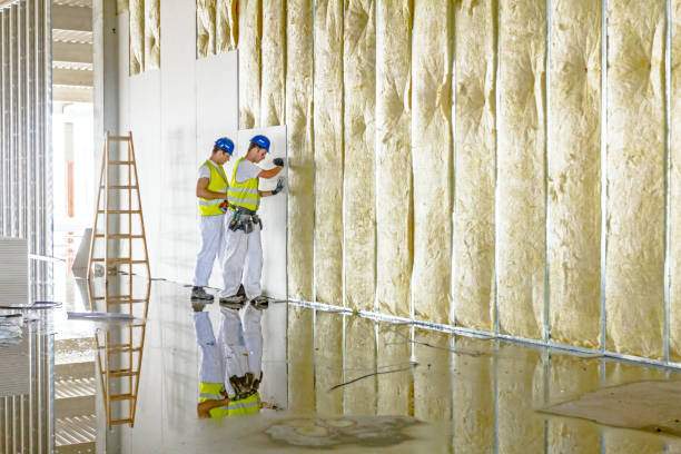Best Cellulose Insulation  in Sarcoxie, MO